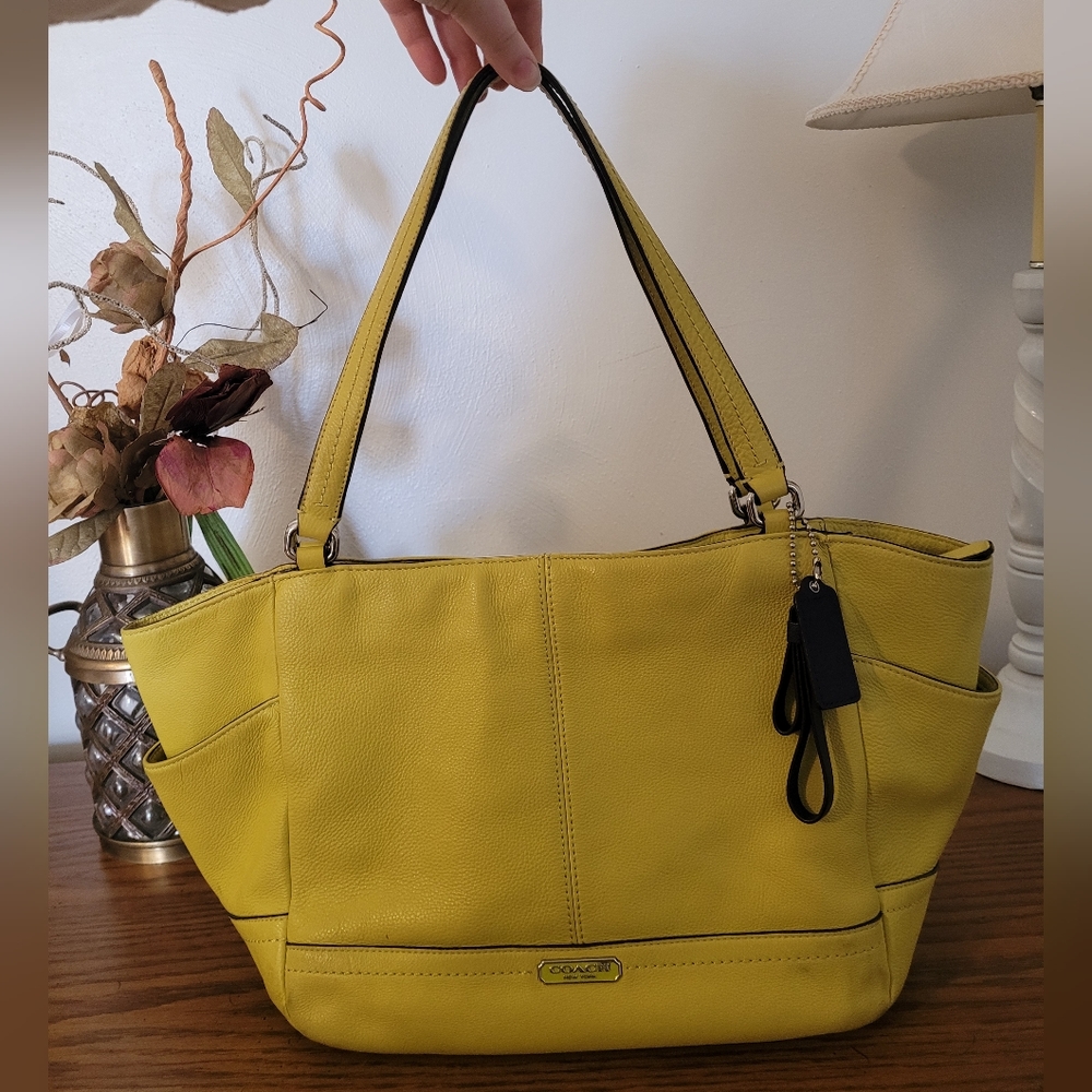 Coach Park Leather Carrie Tote